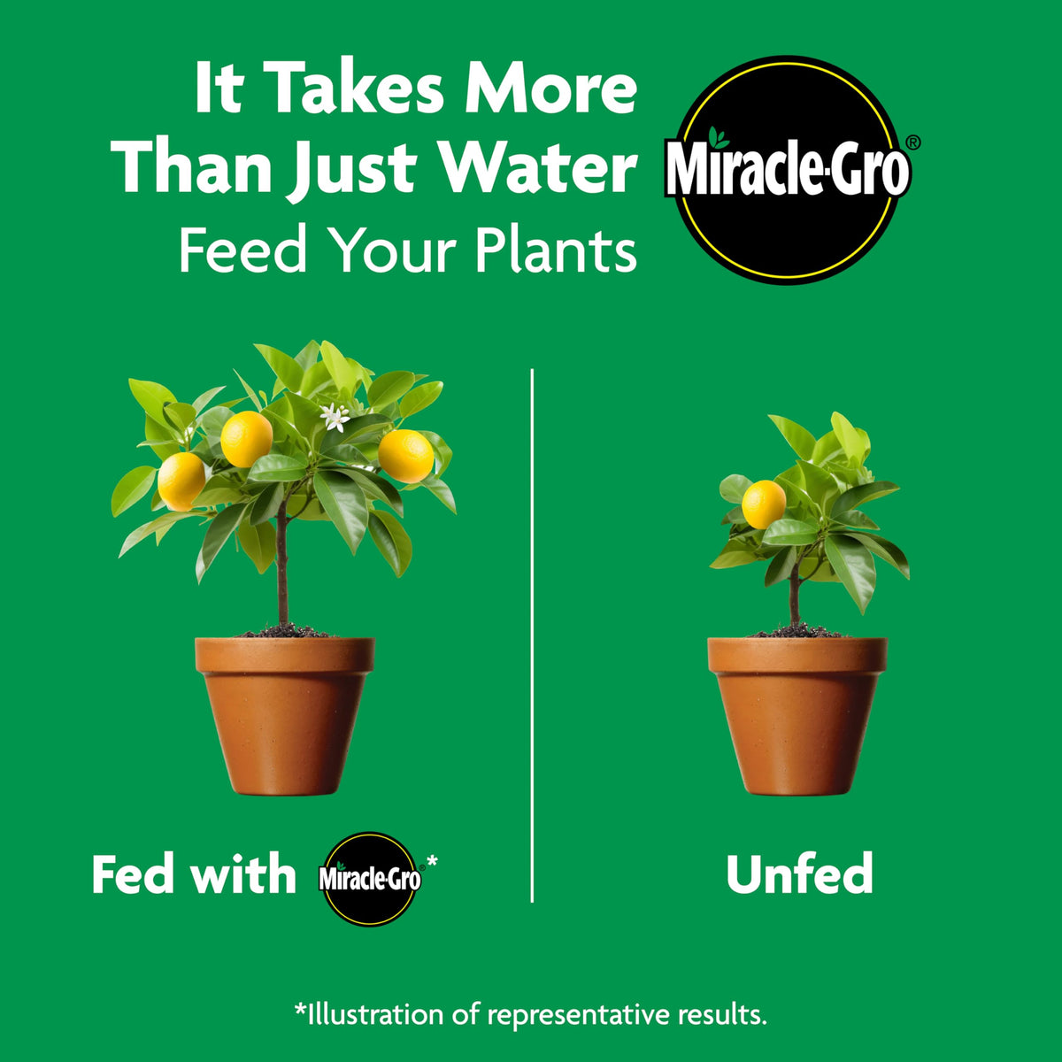 Reapplying every three months supports year-round garden health.
