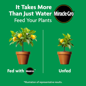 Reapplying every three months supports year-round garden health.