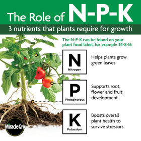 Miracle-Gro Shake 'N Feed supports a 3-month feeding cycle.