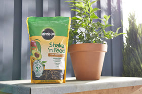 Miracle-Gro Shake 'n Feed vibrant foliage after consistent feeding.