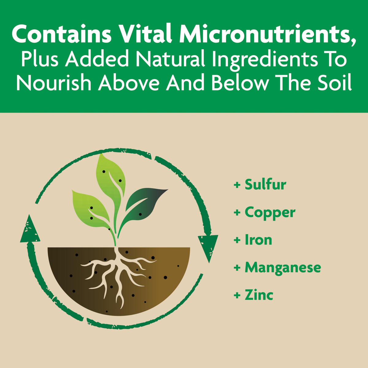 Water starts feeding after applying Miracle-Gro Shake 'N Feed.