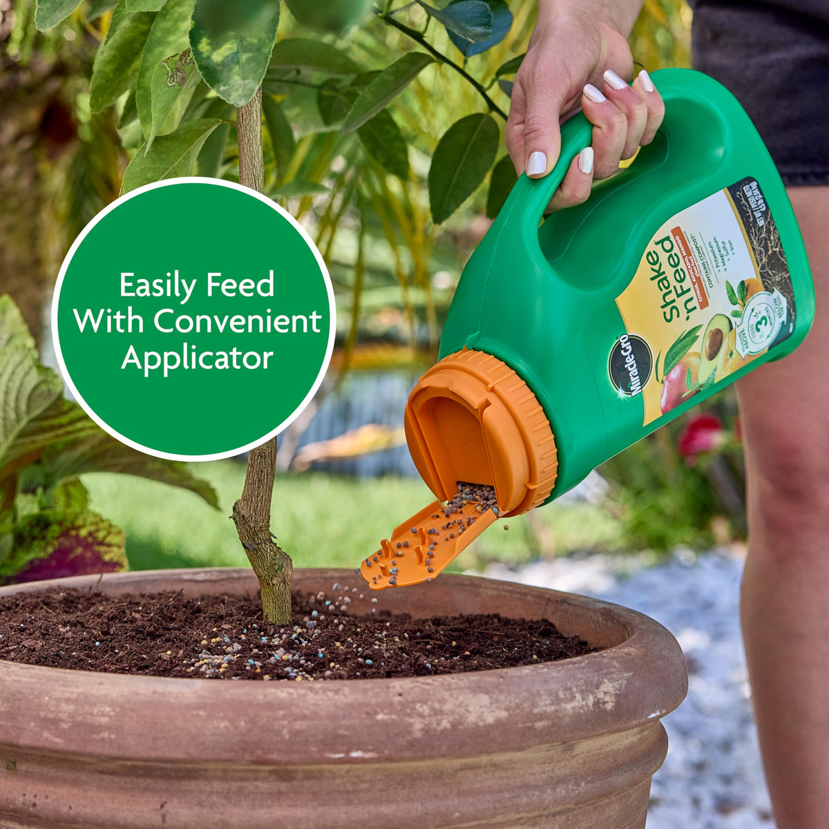 Watering activates feeding after soil is prepared.