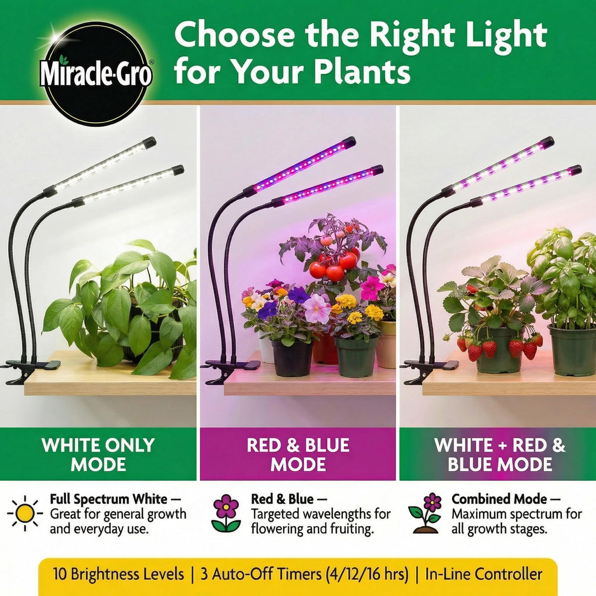 Miracle-Gro vegetative mode supports lush foliage and healthy growth.