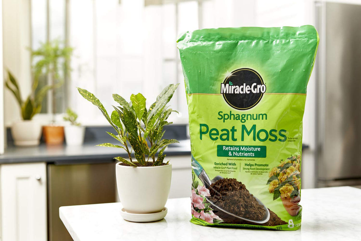 Miracle-Gro peat moss enriched with plant food supports robust root growth.