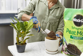 Enhance native soil texture in garden beds using Miracle-Gro Sphagnum peat moss.