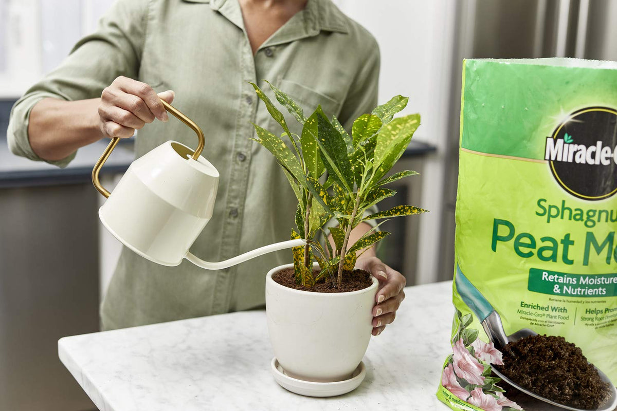 Seed starting with Miracle-Gro peat moss and perlite improves germination potential.