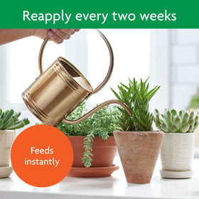 Miracle-Gro Succulent Plant Food reapplication every two weeks for care.