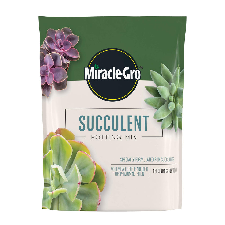  Miracle-Gro Succulent Potting Mix bag for thriving indoor succulents.