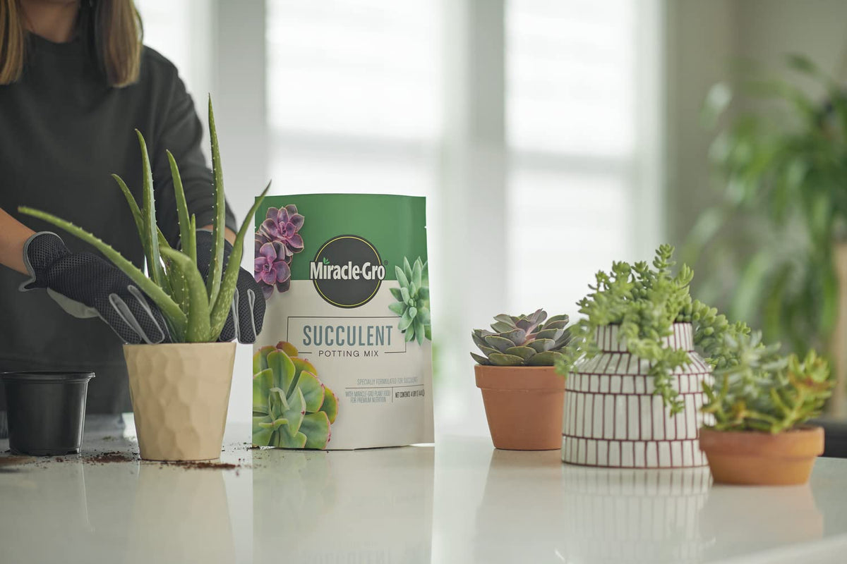 Cactus in Miracle-Gro mix pot enjoys premium nutrition and drainage for growth.