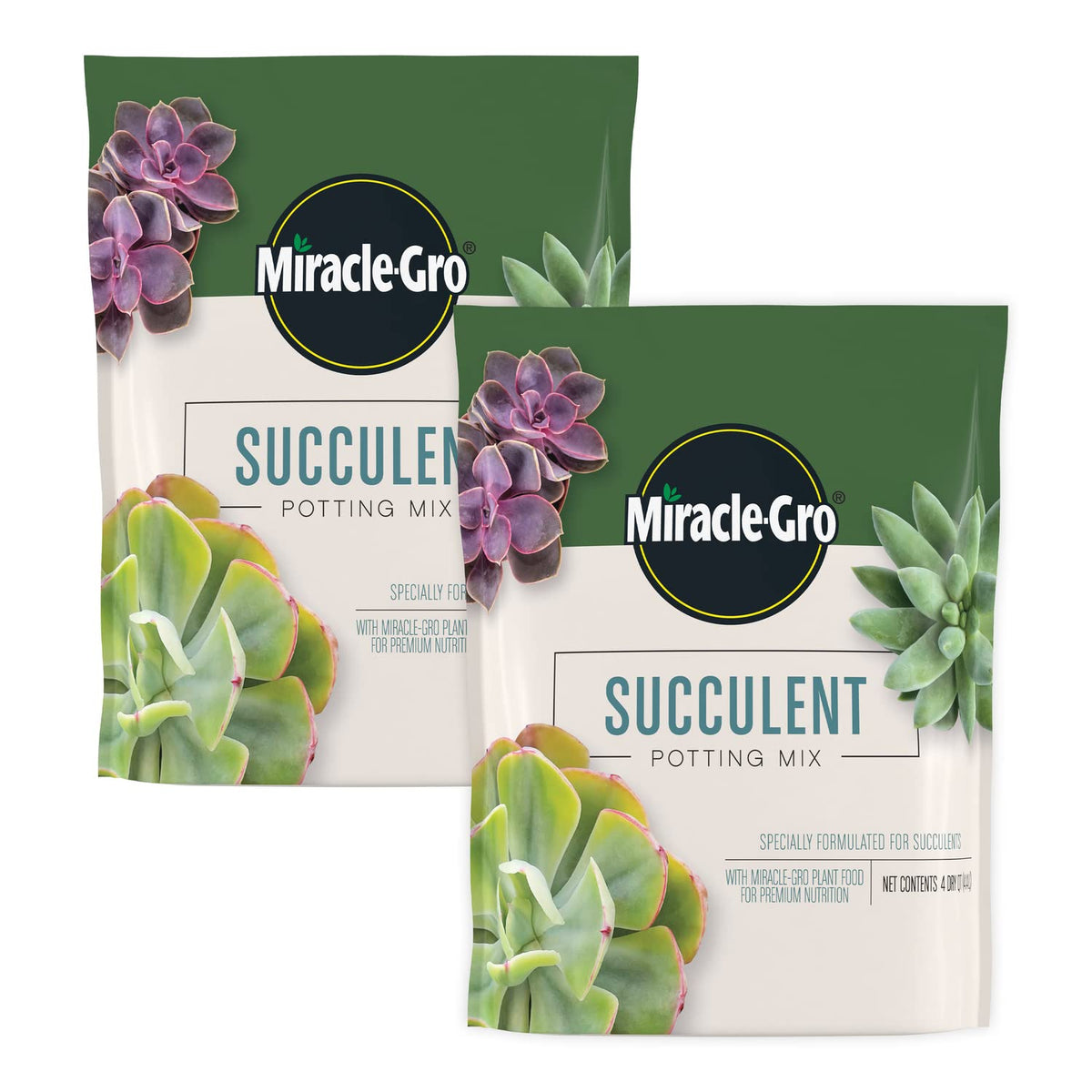 Miracle-Gro Succulent Potting Mix in an 8-inch container supports healthy growth.