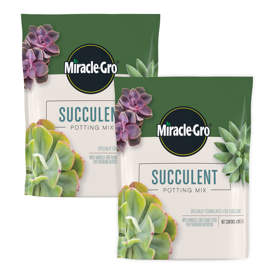 Miracle-Gro Succulent Potting Mix in an 8-inch container supports healthy growth.