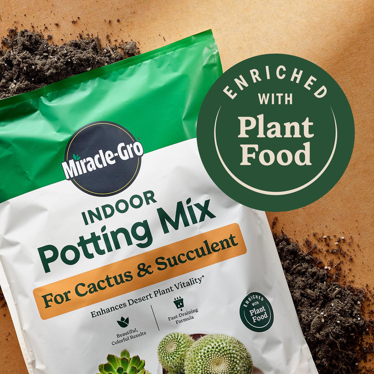 Succulents indoors thriving with Miracle-Gro bundle care