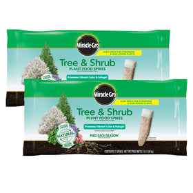 Miracle-Gro Tree & Shrub spikes in soil delivering root nutrition for lush foliage