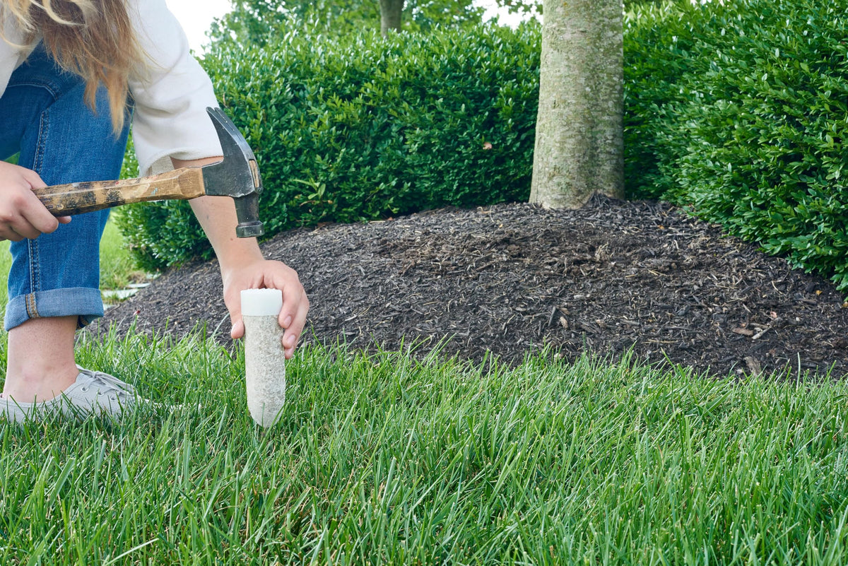 Miracle-Gro Tree and Shrub Spikes label visible during application helps accurate placement.