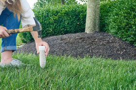 Miracle-Gro Tree and Shrub Spikes label visible during application helps accurate placement.