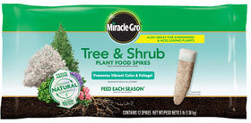 Miracle-Gro Tree and Shrub Spikes lined around a tree for lush foliage support.