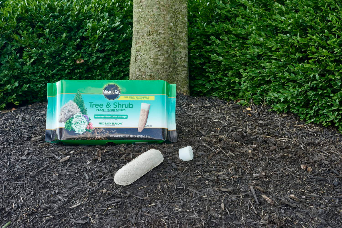 Miracle-Gro Tree & Shrub spikes providing nutrients to roots for vibrant color