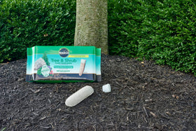 Miracle-Gro Tree & Shrub spikes providing nutrients to roots for vibrant color