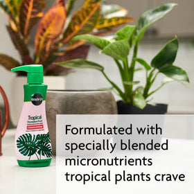 Miracle-Gro Tropical Houseplant Food indoor garden scene for home plant success