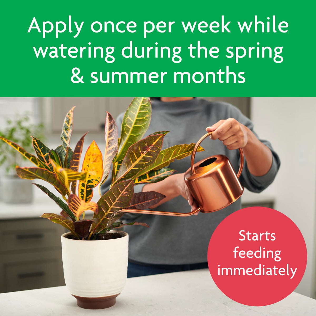 Miracle-Gro Tropical Houseplant Food safe for many plants confirms wide compatibility
