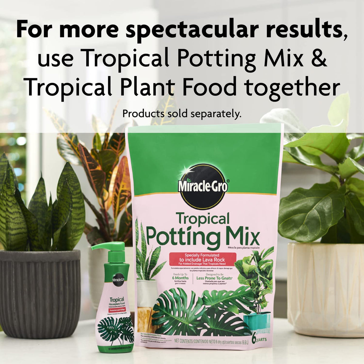 Miracle-Gro Tropical Houseplant Food two-pack display communicates value and convenience