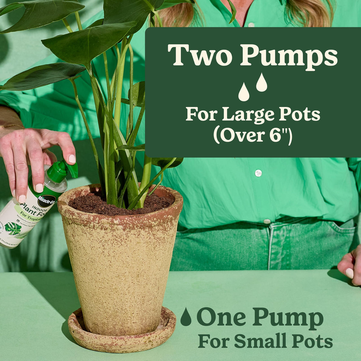 Healthy tropical plant in pot benefiting from Miracle-Gro nutrients.