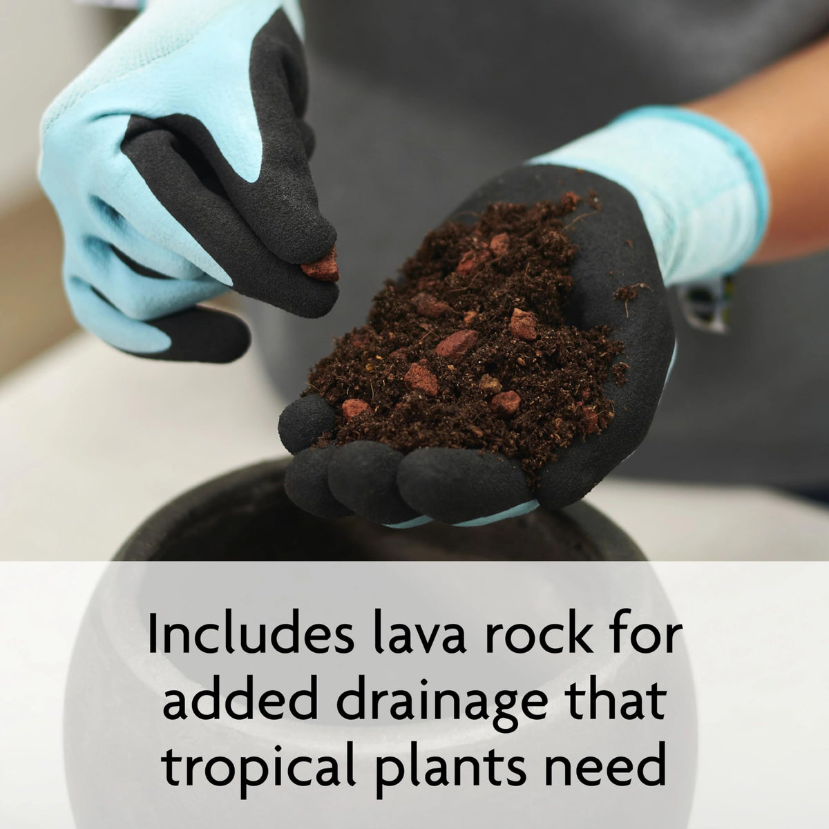 Three 6 qt bags of Miracle-Gro Tropical Potting Mix ready for use.