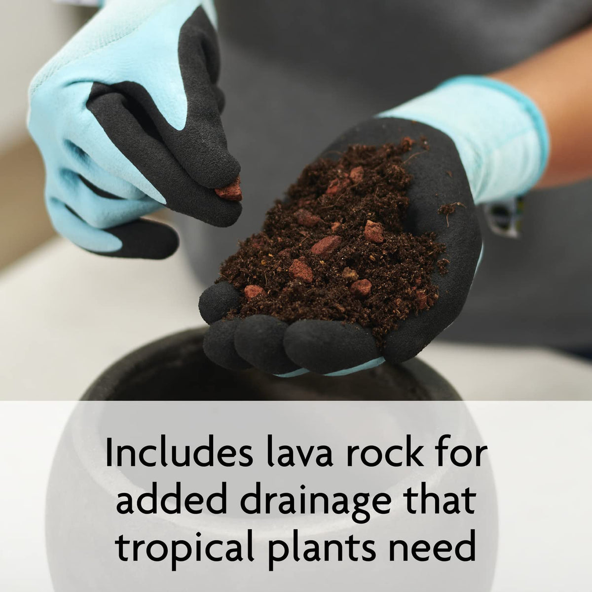 Broad range of tropical plants thriving with Miracle-Gro Tropical Potting Mix
