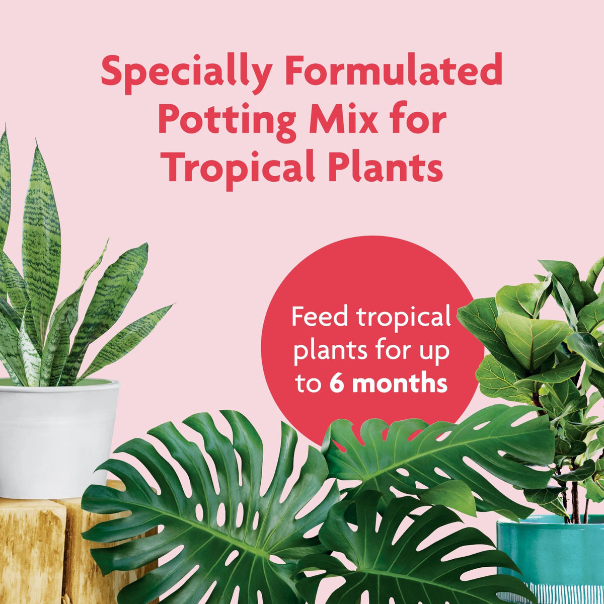Crumbly, lightweight Miracle-Gro Tropical Potting Mix texture for easy repotting.