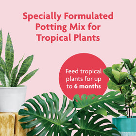 Crumbly, lightweight Miracle-Gro Tropical Potting Mix texture for easy repotting.