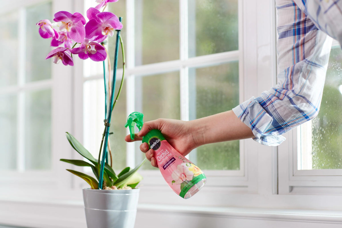 Miracle-Gro two bottle pack for convenient orchid care