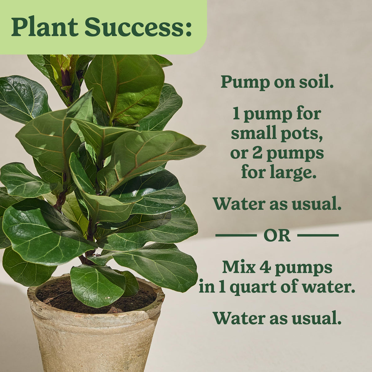 Two bottles of Miracle-Gro Indoor Plant Food for Tropicals in packaging.
