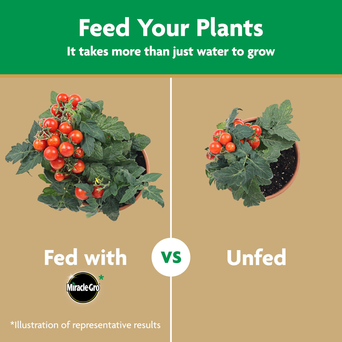 Miracle-Gro Vegetable Garden Fertilizer boosts yields for vegetables.
