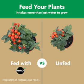 Miracle-Gro Vegetable Garden Fertilizer boosts yields for vegetables.