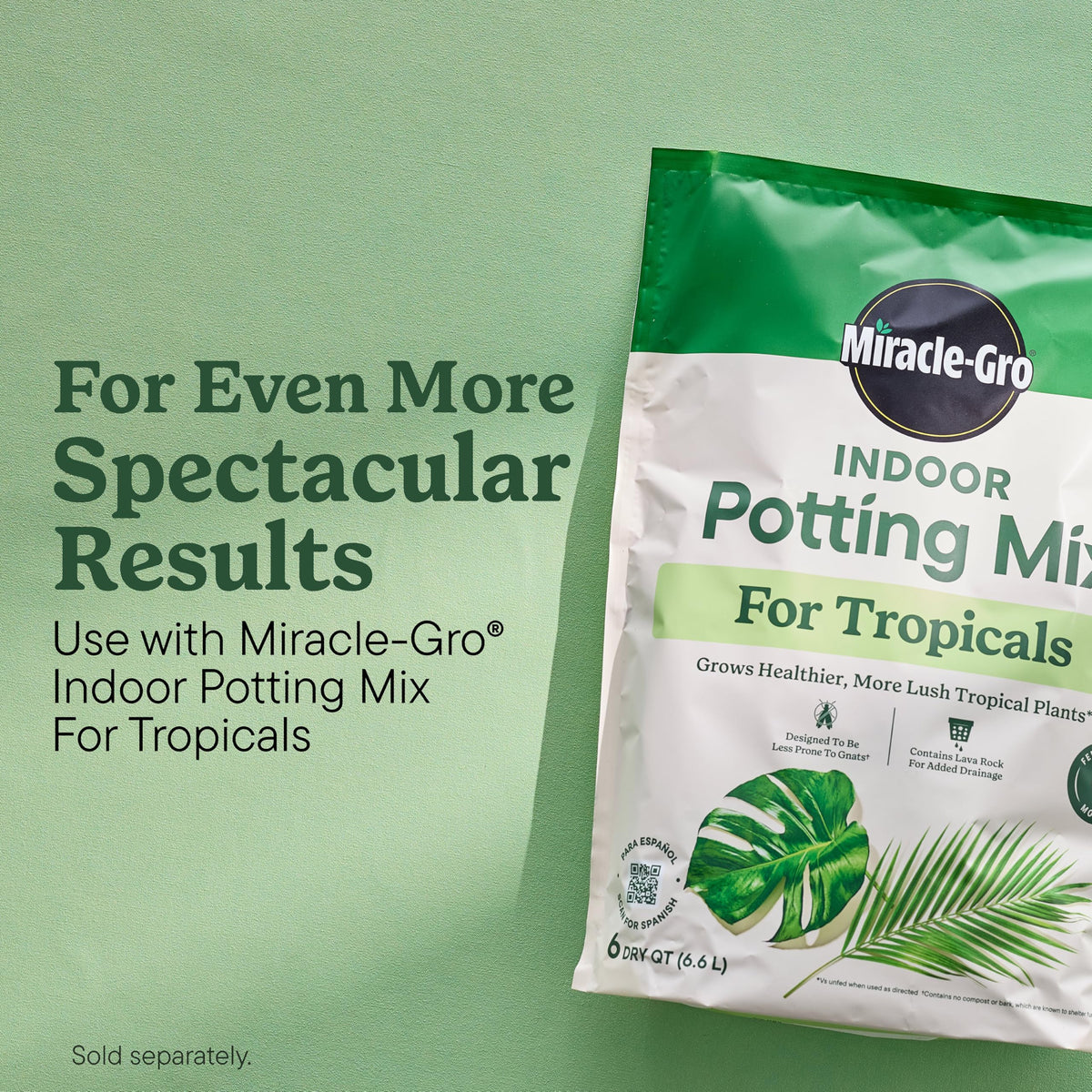 Pouring Miracle-Gro mixture into plant pot during watering.