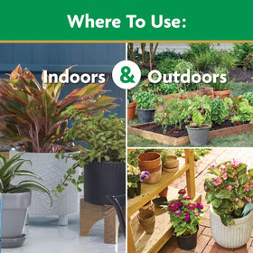 Miracle-Gro indoor plant care for thriving houseplants.