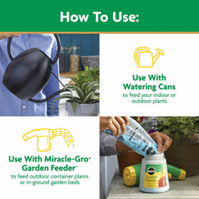 Indoor plants receive Miracle-Gro nourishment for thriving foliage.