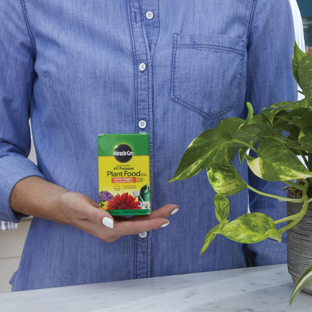 Miracle-Gro All Purpose Plant Food label packaging highlights universal formula.