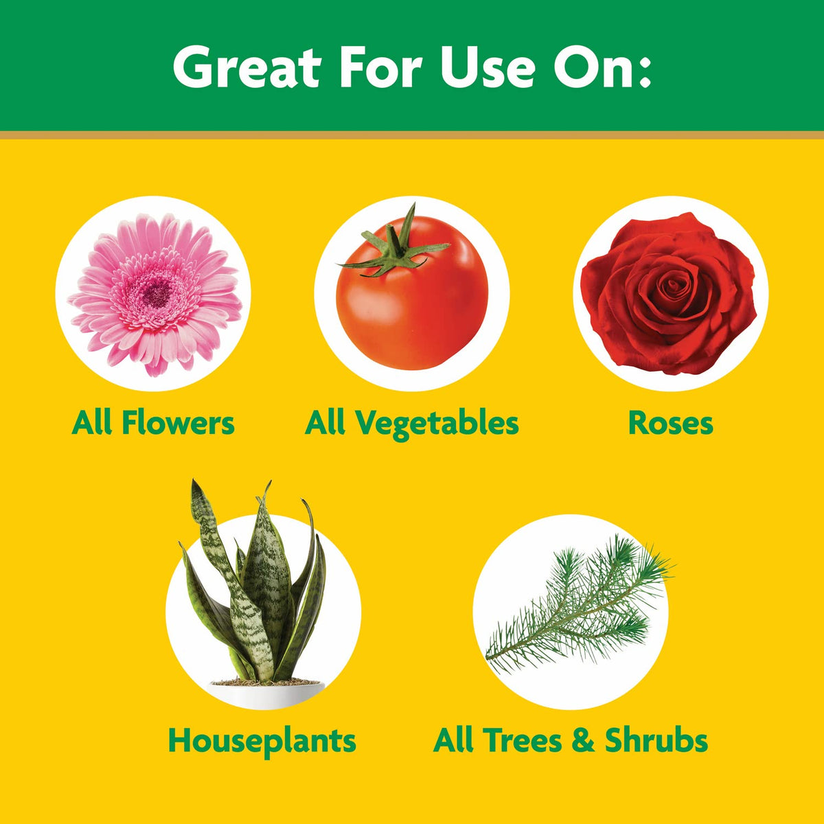 Outdoor application of Miracle-Gro for garden feeding