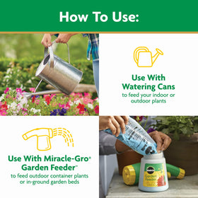 Miracle-Gro benefiting roses with regular feeding.