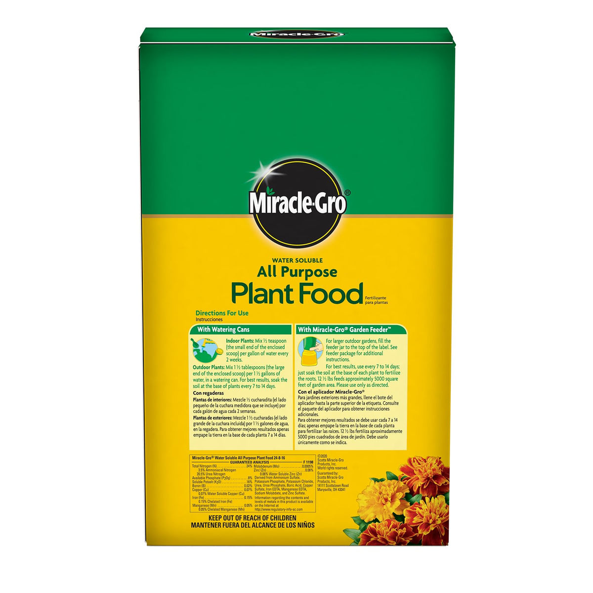 Roses receiving Miracle-Gro for stronger stems and blooms.