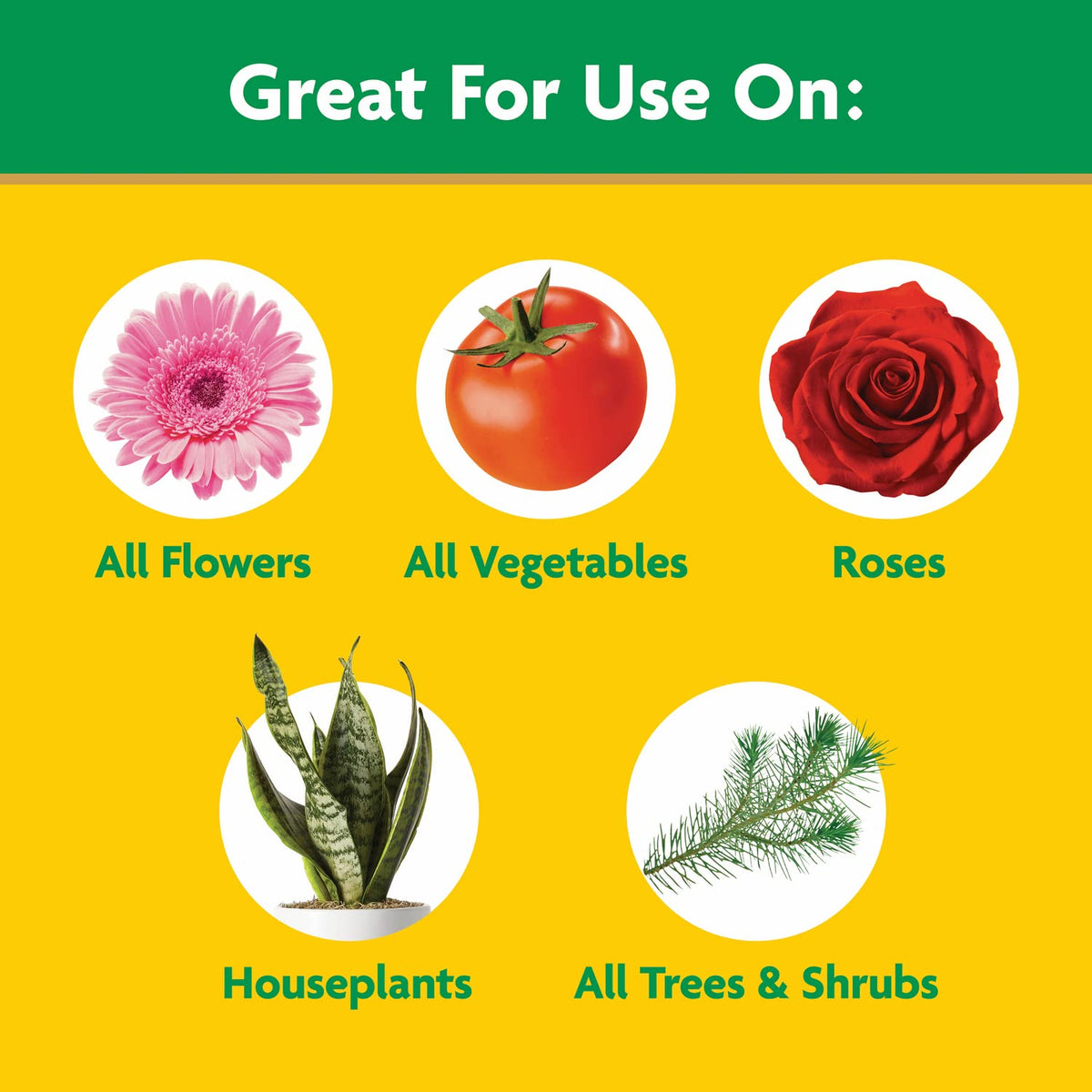 Miracle-Gro vegetables thrive with this plant food in garden beds.
