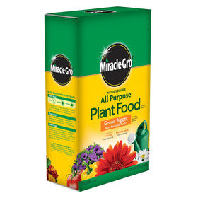 Pouring Miracle-Gro into a watering can to feed indoor plants for quick uptake.