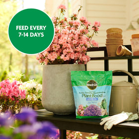 Miracle-Gro Water Soluble coverage 2000-sq-ft supports bigger garden displays.