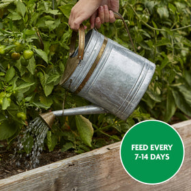 Miracle-Gro Water Soluble mixing with water for fast action.
