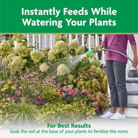 Miracle-Gro Water Soluble orchids and hydrangeas thrive with regular feeds.