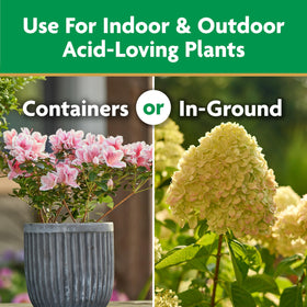 Miracle-Gro Water Soluble outdoor garden-feeder use for larger plantings.