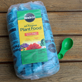 Indoor application with watering can nourishes container plants