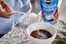 Miracle-Gro Water Storing Crystals placed in a hanging basket supporting hydration.