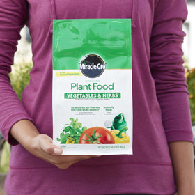 Miracle-Gro watering can application makes feeding simple